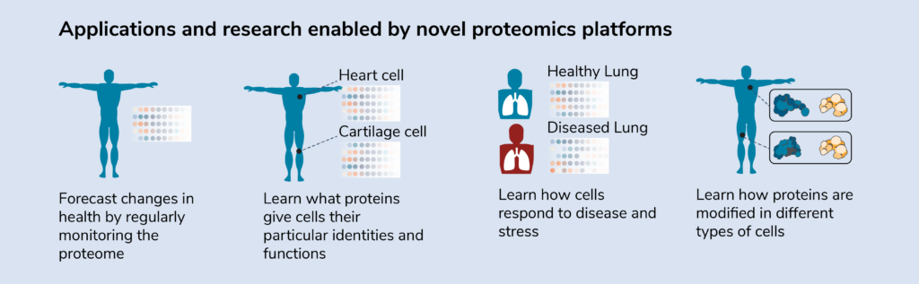 Image describing the proteome. The image reads: Proteins carry out most biological activities at the molecular level and give cells their functions and identities. The billions of proteins in a cell, their distribution, and their abundance are collectively known as the proteome. Traditional protein analysis techniques can only measure a small subset of it. Novel proteomics platforms will give scientists a far more comprehensive view of it. Here, we cover a small fraction of the exciting research applications that will result from in-depth analysis of the proteome. Traditional protein research methods study small numbers of proteins in a sample. Novel proteomic research methods enable analysis of nearly all of the proteins in a sample simultaneously. Applications and research enabled by novel proteomics platforms include: Forecast changes in health by regularly monitoring the proteome, Learn what proteins give cells their particular identities and functions, Learn how cells respond to disease and stress, Learn how proteins are modified in different types of cells.