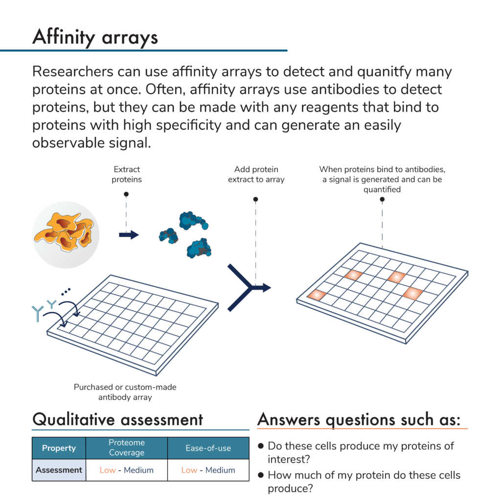 Affinity array protein quantification process