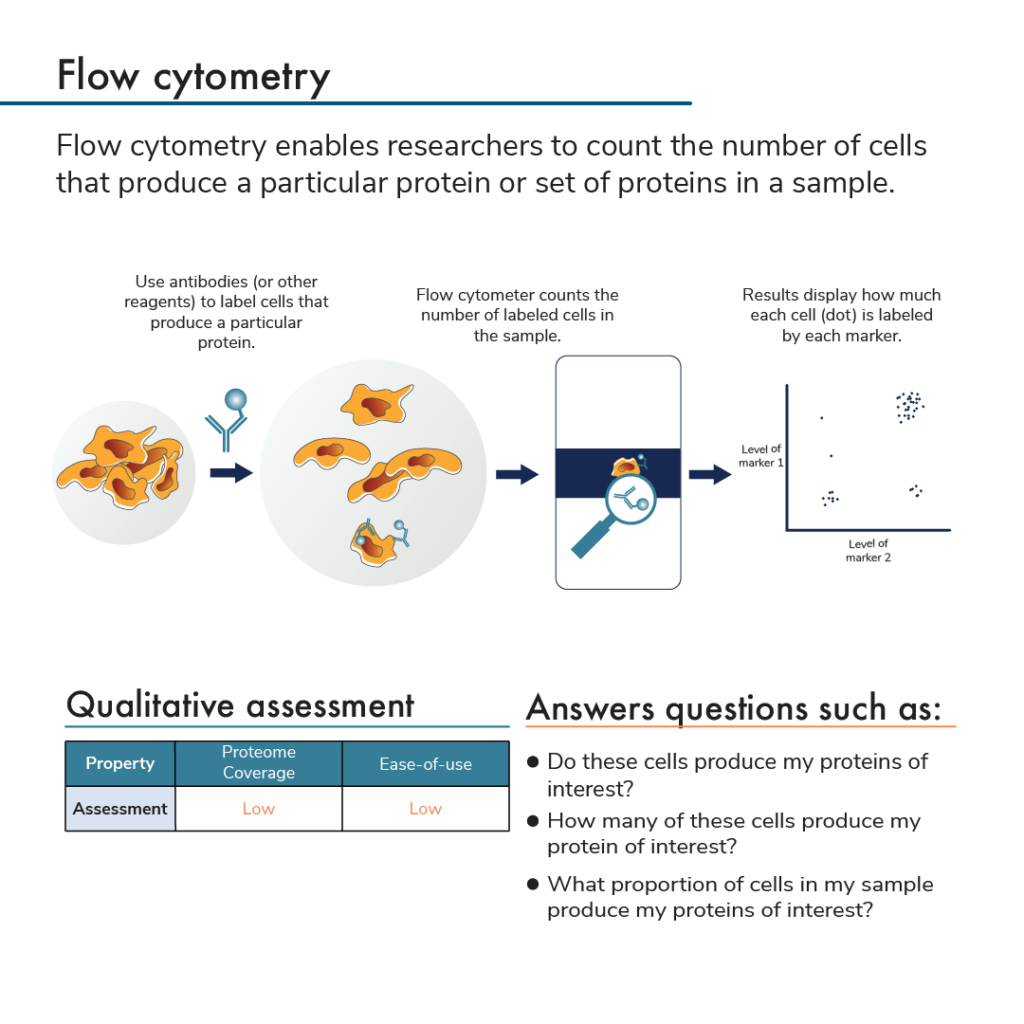 Graphic showing the processes involved in flow cytometry. The graphic reads: Flow cytometry enables researchers to count the number of cells that produce a particular protein or set of proteins in a sample. In this technique, researchers use antibodies or other reagents to label cells that produce a particular protein. Then they use a flow cytometer to count the number of labeled cells in the sample. The results display how much each cell is labeled by each antibody or other reagent. This technique has low proteome coverage and low ease of use. It can be used to answer questions such as: Do these cell produce my proteins of interest? How many of these cells produce my protein of interest? What proportion of cell in my sample produce my proteins of interest?