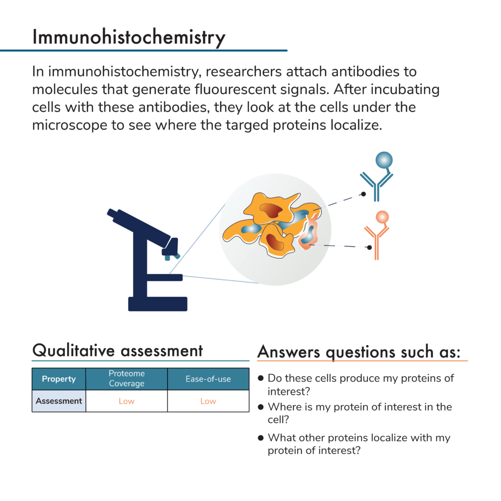 Immunohistochemistry protein analysis process
