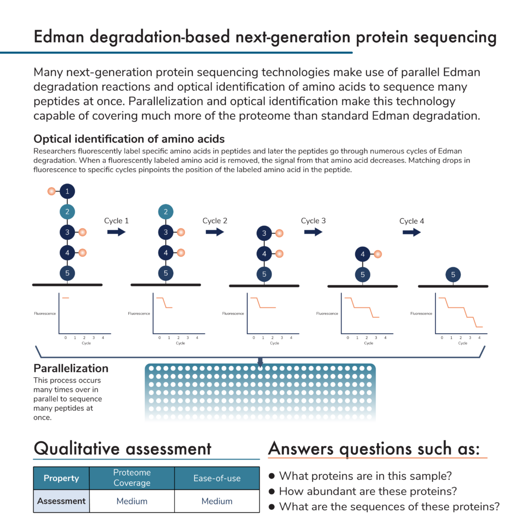 Image shows how the process of Edman degradation-based next-generation protein sequencing works.