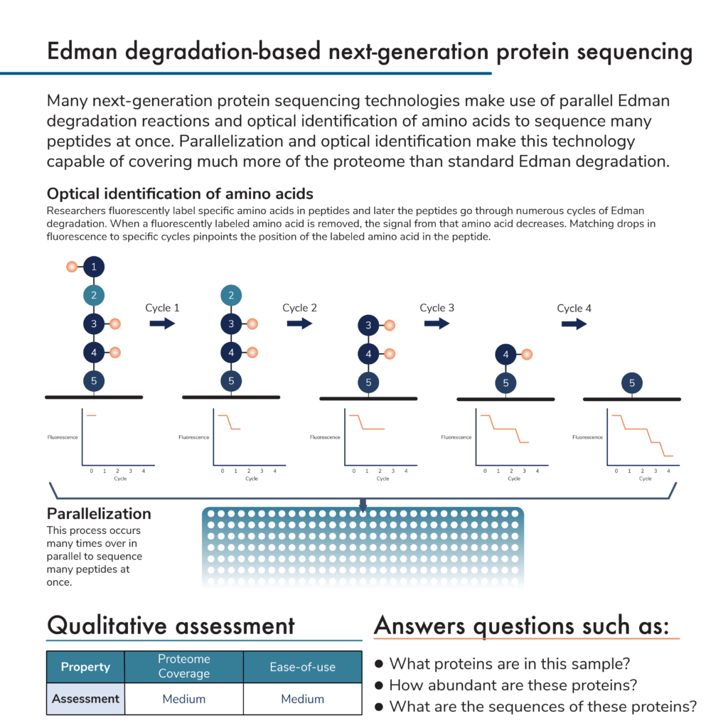 Process of Edman degradation-based next-generation protein sequencing