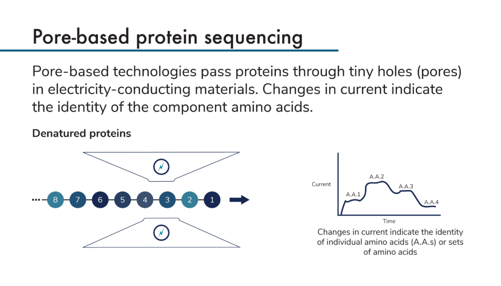 Image provides a brief overview of pore-based protein sequencing methods.