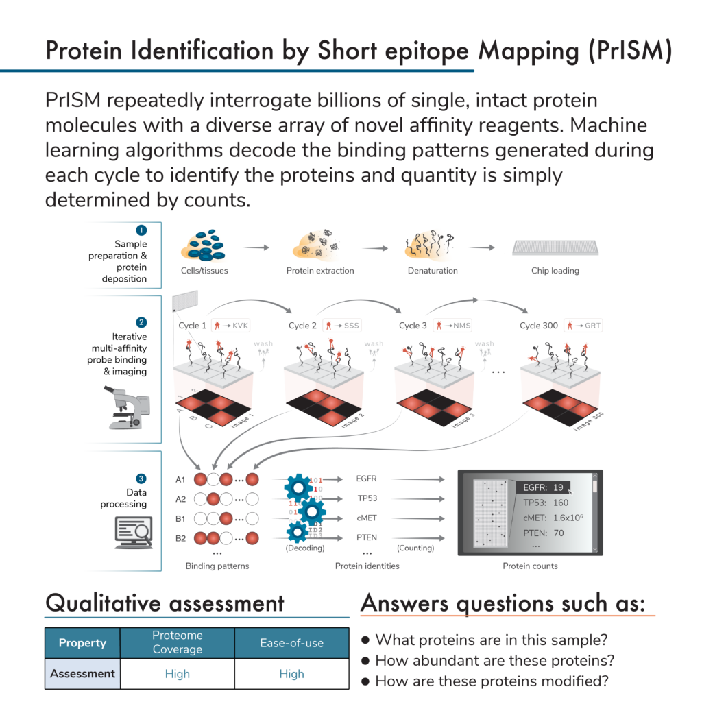 Graphic describing how the theoretical framework underpinning the Nautilus proteomics platform, Protein Identification by Short epitope Mapping (PrISM), works. The graphic reads: PrISM repeatedly interrogate billions of single, intact protein molecules with a diverse array of novel affinity reagents. Machine learning algorithms decode the binding patterns generated during each cycle to identify the proteins and quantity is simply determined by counts.