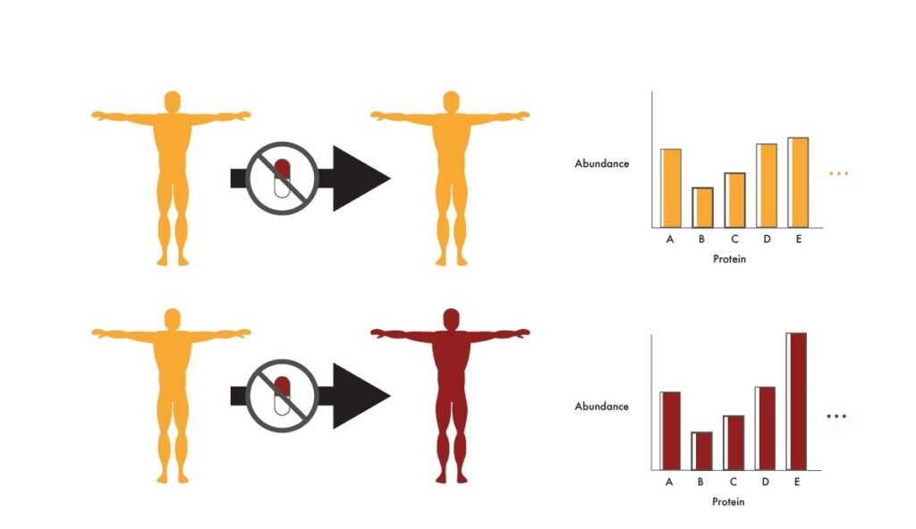 Image showing that differences in proteomic profiles in cancer patients may reveal whether or not stopping treatment will result in relapse