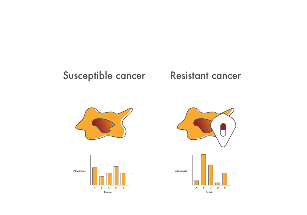 Image showing that a drug resistant cancer might have a different proteomic profile than a drug sensitive cancer