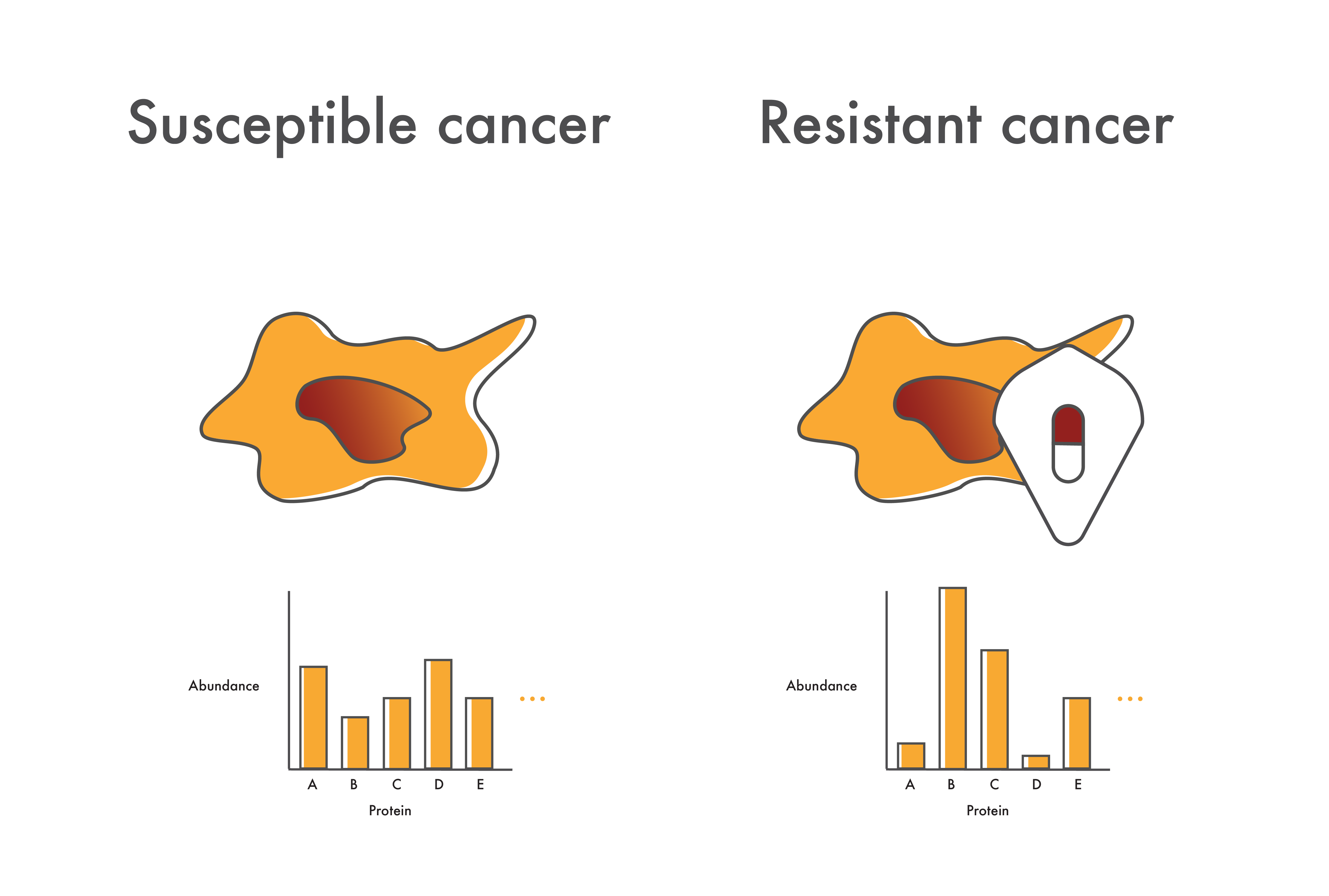 Proteome profiles of drug resistant and susceptible cancer cells