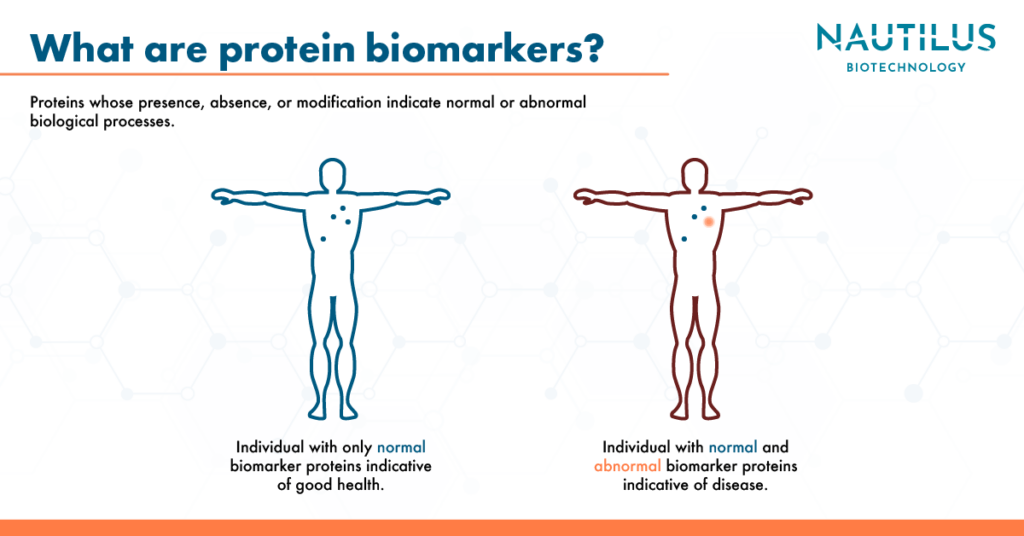 Graphic featuring a definition of protein biomarkers. Biomarkers are proteins whose presence, absence, or modification indicate normal or abnormal biological processes. On the left side of this graphic there is a blue human body with a few blue dots inside it representing protein biomarkers of good health. On the right there is a red body where one of the blue biomarker dots has turned orange indicating ill health.