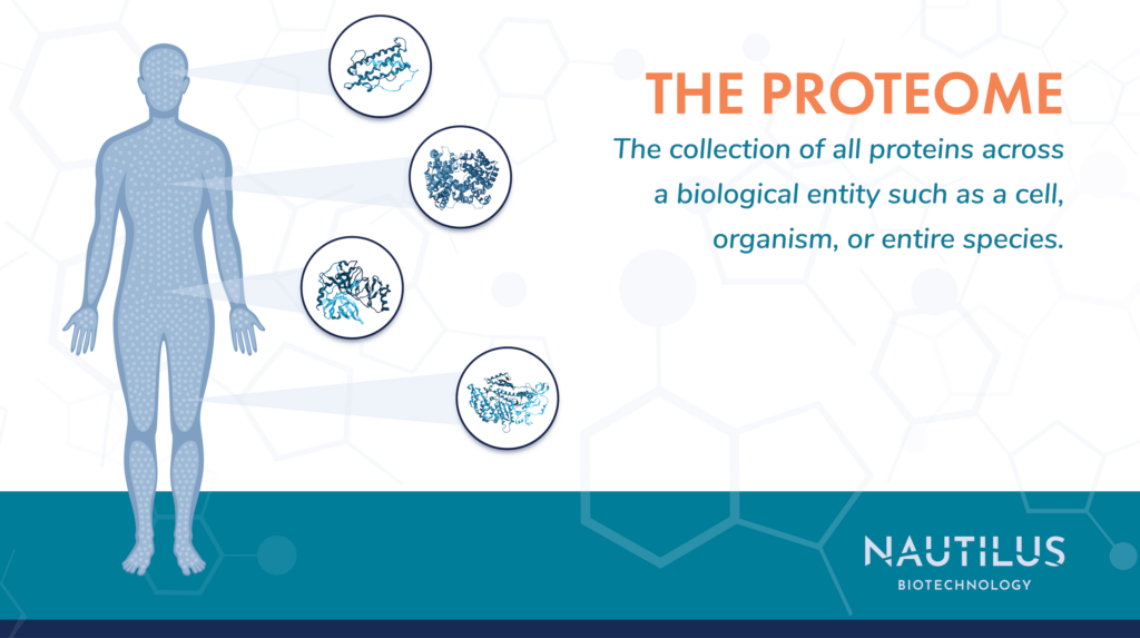Graphic featuring a definition and symbolic representation of the proteome. The definition reads: The proteome is the collection of all proteins across a biological entity such as a cell, organism, or entire species. The symbolic representation is a silhouette of a human body with many dots representing the many, many proteins in the human body. The graphic zooms in on some of the individual dots revealing full protein structures.