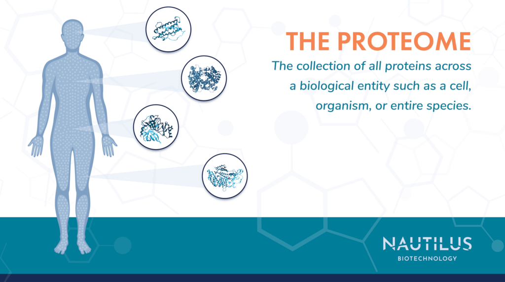 Human body with proteins from various organs highlighted next to a definition of “The Proteome.”