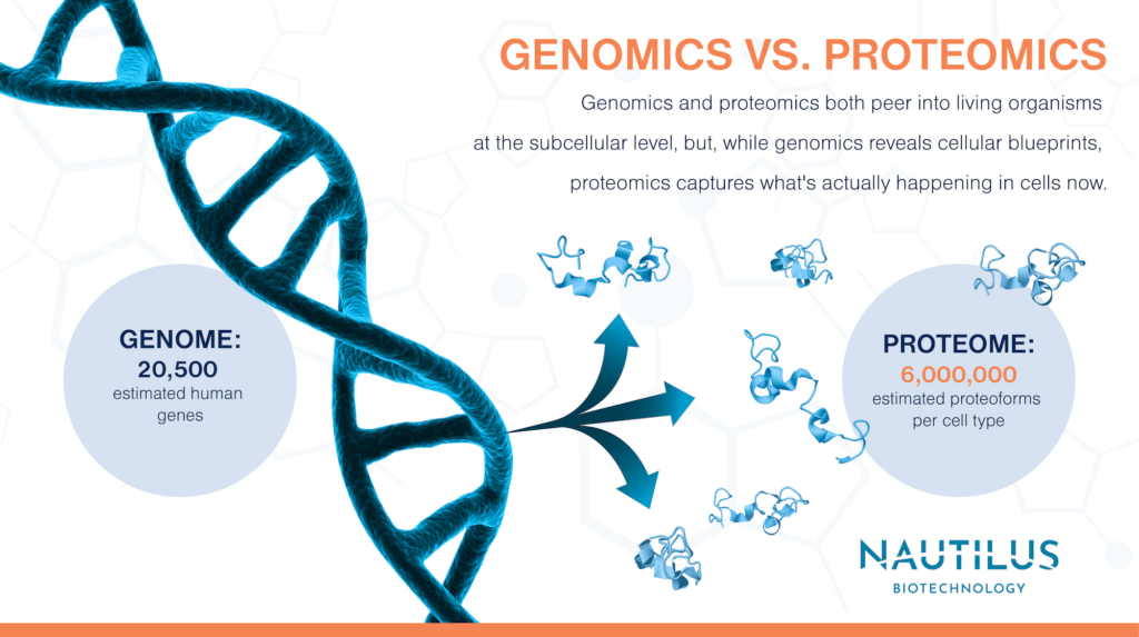 Graphic comparing genomics and proteomics. The graphic reads, "Genomics and proteomics both peer into living organisms at the subcellular level, but, while genomics reveals cellular blueprints, proteomics captures what's actually happening in cells now. Genome: 20,500 estimated human genes. Proteome: 6,000,000 estimated proteoforms per cell type."