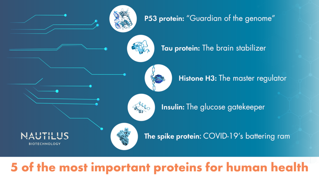 Structures of 5 of the most important proteins in human health – P53, Tau, Histone H3, Insulin, and the SARS-CoV-2 spike protein