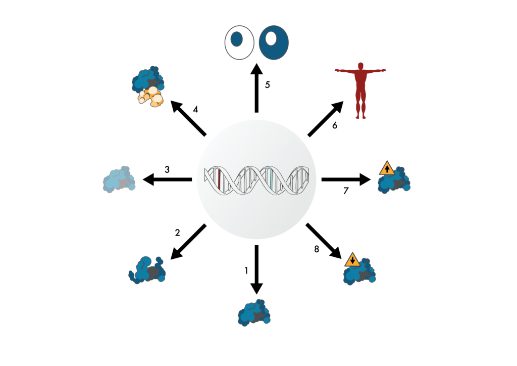 Various ways genetic variants can cause disease