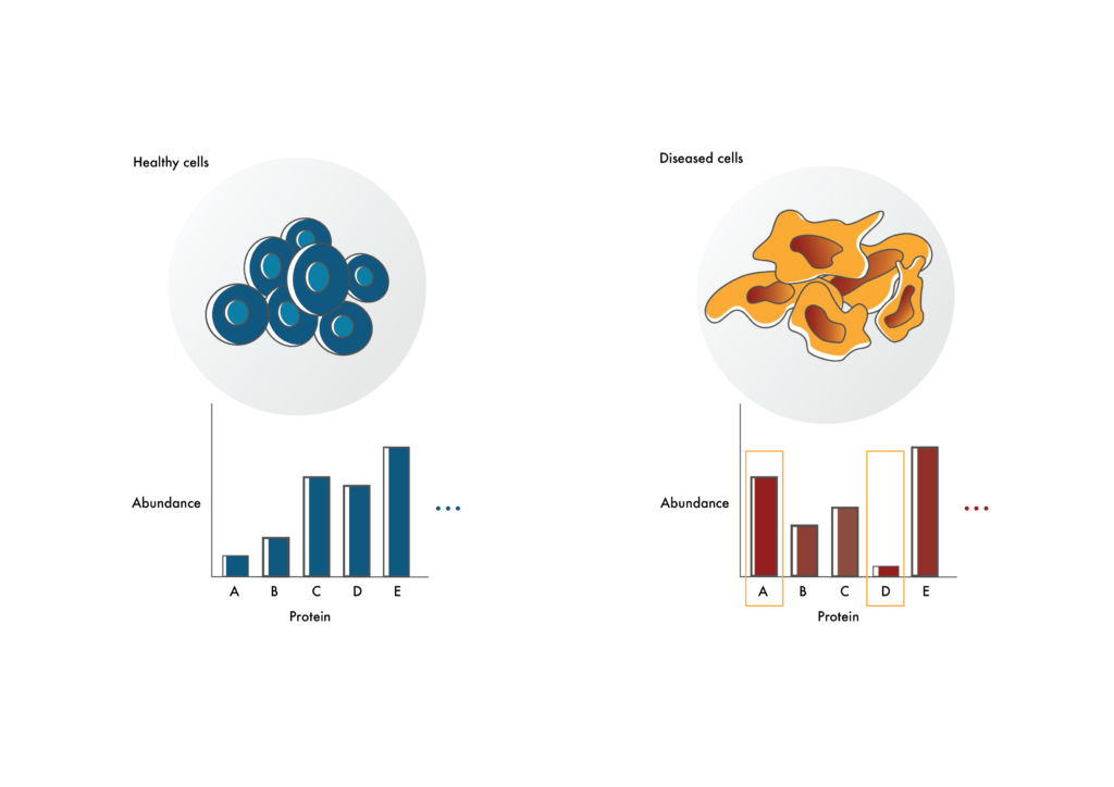 Image showing how protein levels may be different in diseased cells compared to healthy cells. Proteins with the greatest differences may either be good drug targets if they're higher in diseased cells or help explain the mechanisms of disease if they're lower in diseased cells.