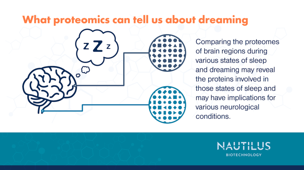 Graphic symbolically depicting a sleeping brain with proteomic measurements taken from two separate parts of the brain. The graphic reads, "What proteomics can tell us about dreaming: Comparing the proteomes of brain regions during various states of sleep and dreaming may reveal the proteins involved in those states of sleep and many have implications for various neurological conditions."