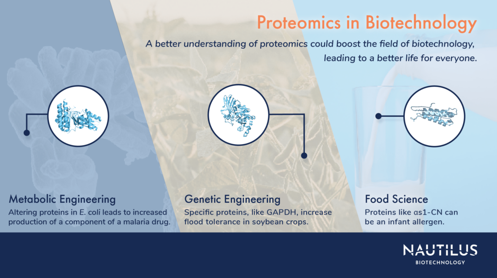 Applications of proteomics in biotechnology – A protein over bacteria for metabolic engineering, a protein over crops for genetic engineering, and a protein over milk for food science