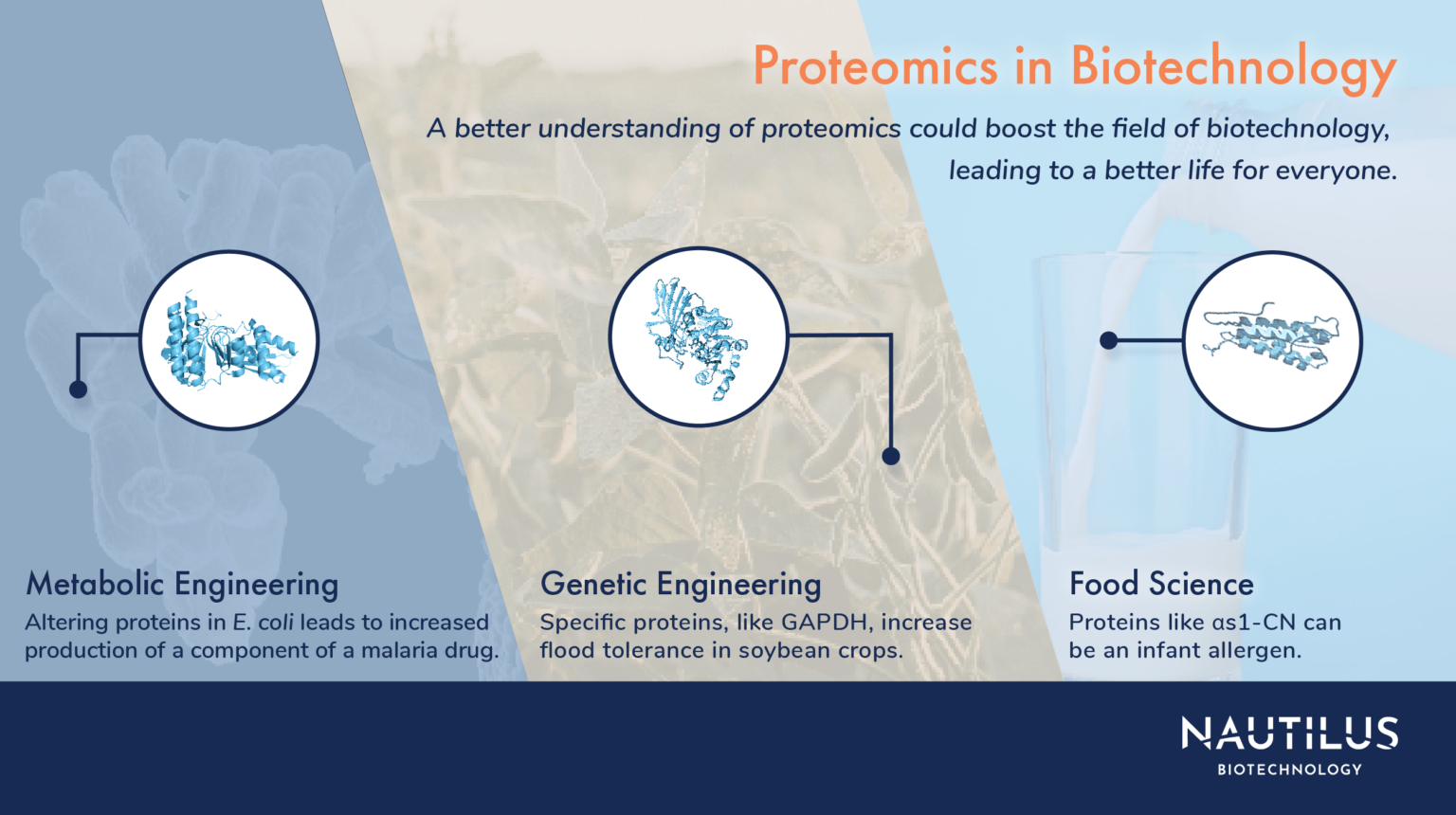 Applications of proteomics Biotechnology Nautilus Biotechnology