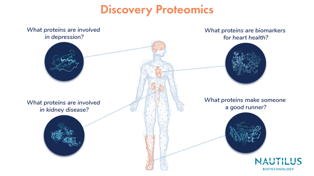 Protein structures pointing to different organs in the human body representing example questions that can be answered with discovery proteomics