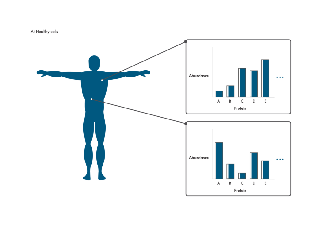 A blue body with lines pointing to graphs depicting the proteomes of cells from different tissues.