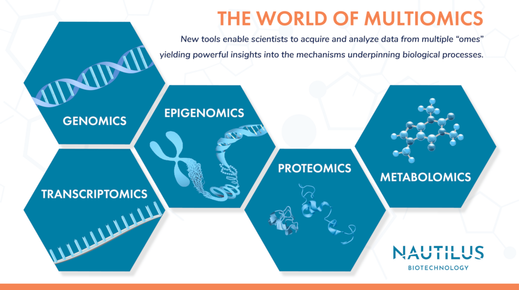 The various components of multiomics – Genomics (DNA), Transcriptiomics (mRNA), Epigenomics (a chromosome), Proteomics (proteins), metabolomics (a small molecule)