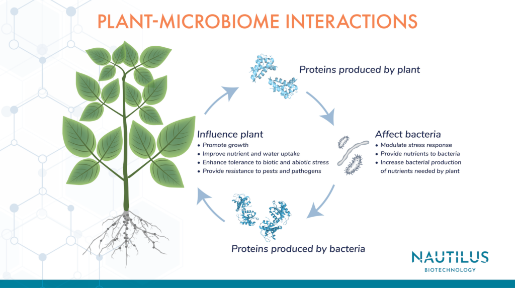 A plant next to arrows pointing to proteins next to arrows pointing to bacteria next to arrows pointing to proteins next to arrows pointing back to the plant in a cycle.