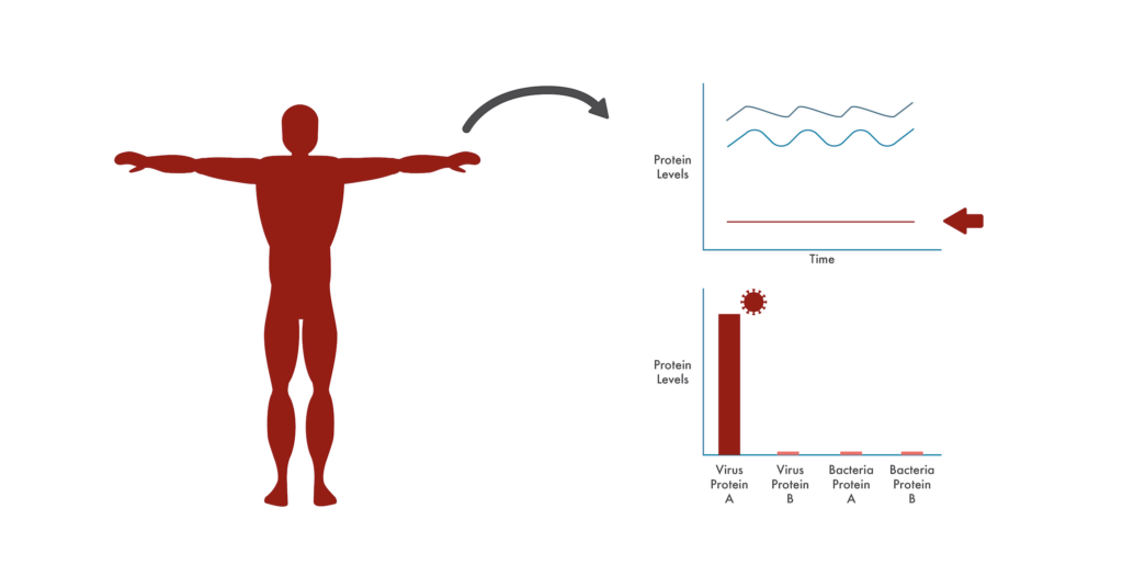 Image showing how the protein fluctuations in a sick person's proteome have a different pattern of expression than their healthy baseline. On the left there is a red silhouette of a human body representing a sick person and on the right there are two charts. One shows normal fluctuations in two proteins with an abnormally flat level of a third protein in red. The second chart shows that targeted protein measurement techniques can be used to diagnose the cause of the abnormal fluctuations more specifically. Changes from baseline may direct physicians to look in-depth at proteins from pathogens and this second chart shows elevated levels of a virus protein indicating that the virus may be the cause of this person's sickness.