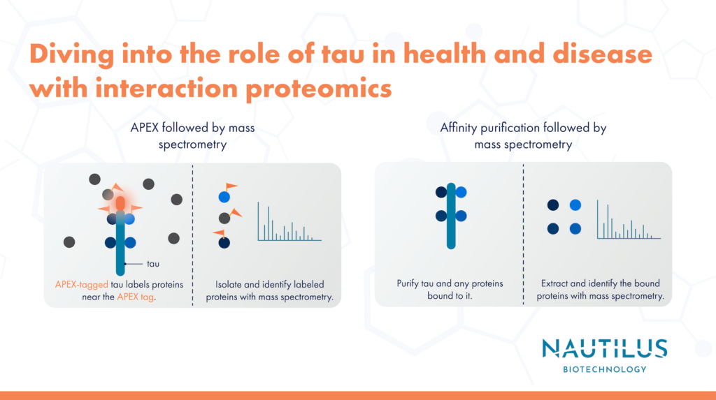 Image displaying some of the techniques used in interactions proteomics. The top of the image reads, "Diving into the role of tau in health and disease with interaction proteomics." On the left there is a depiction of APEX followed by mass spectrometry with text reading "APEX-tagged tau labels proteins near the APEX tag. Isolate and identify labeled proteins with mass spectrometry." The right side of the image depicts affinity purification followed by mass spectrometry with text that reads, "Purify tau and any proteins bound to it. Extract and identify the bound proteins with mass spectrometry."