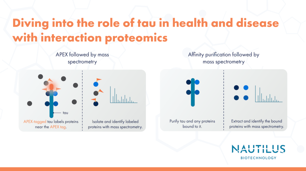 Left: Tau protein with an apex tag puts flags on nearby proteins. A chart shows the flagged proteins are identified. Right: Tau protein with proteins bound to it. Proteins are removed and identified by mass spec.