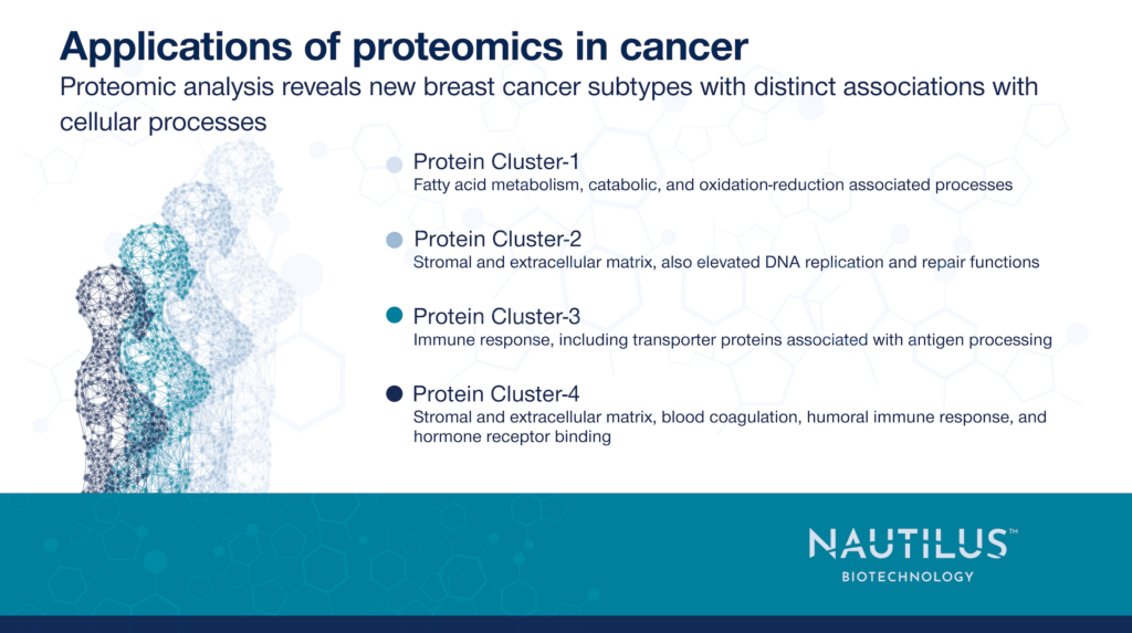 Four human body silhouettes composed of protein networks next to descriptions of 4 different protein-cluster-based subtypes of breast cancer