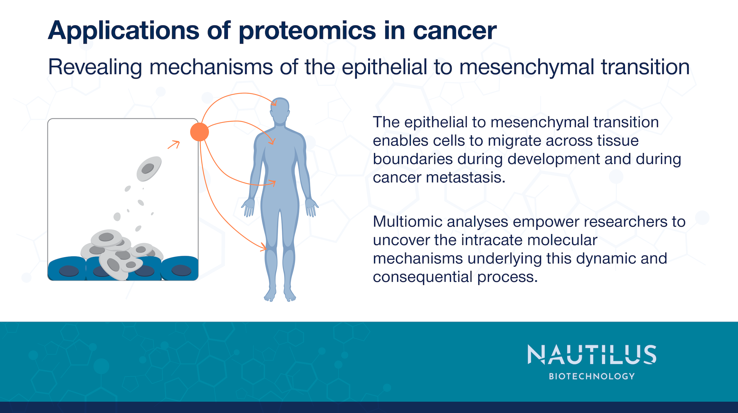 Applications of proteomics in cancer Revealing molecular mechanisms