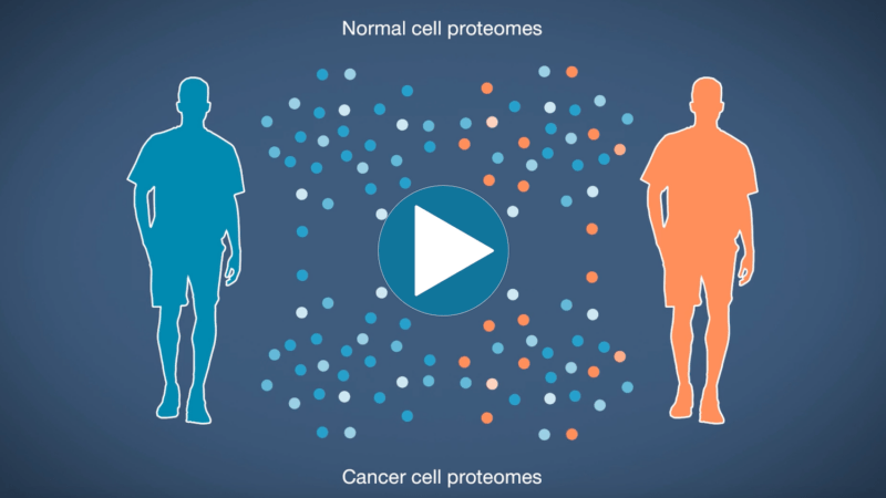 Proteomics and cancer animation thumbnail
