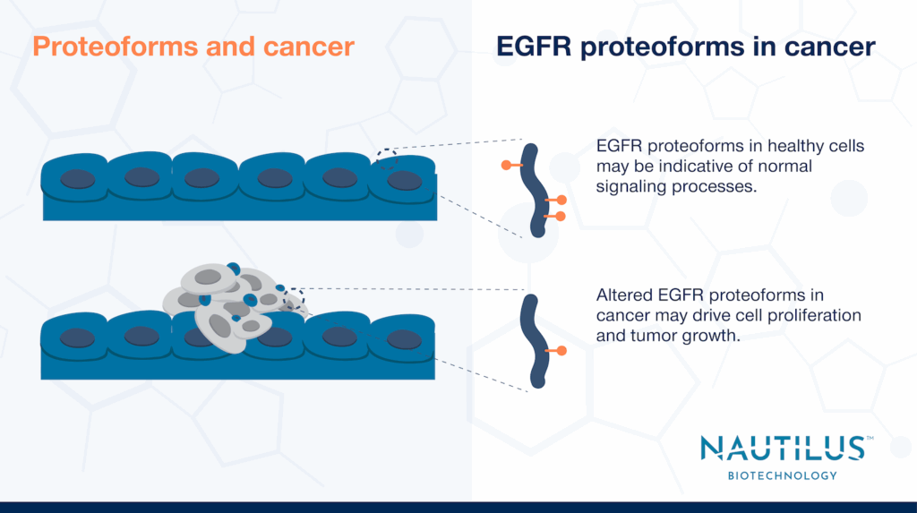 A group of healthy cells with lines pointing to the proteoforms they contain. Below this, there are cancer cells with lines pointing to the altered proteoforms they may contain.