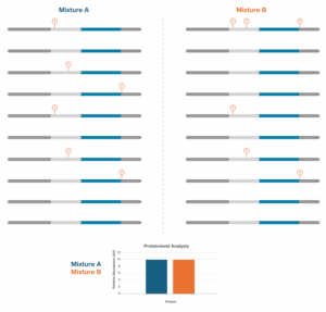 Depictions of two groups of proteoforms and their protein-level quantification in a chart.