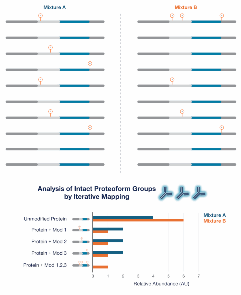 Depiction of two groups of proteoforms and their quantification at the proteoform group level in a chart