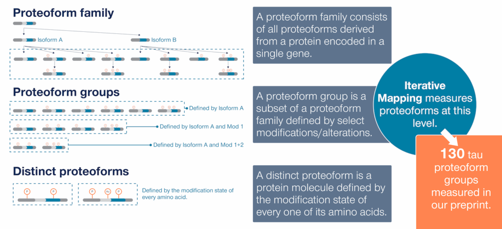 Protein molecules grouped into proteoform families, proteoform groups, and distinct proteoforms