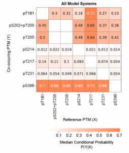 Conditional probabilities of tau PTMS