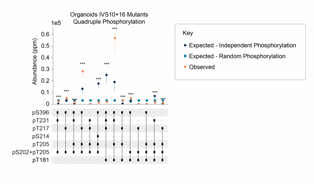 Abundances and triply and quadruply modified tau proteoforms expected by random chance and observed using Iterative Mapping. Multiplly modified proteoforms are often more or less abundant than would be expected by chance.