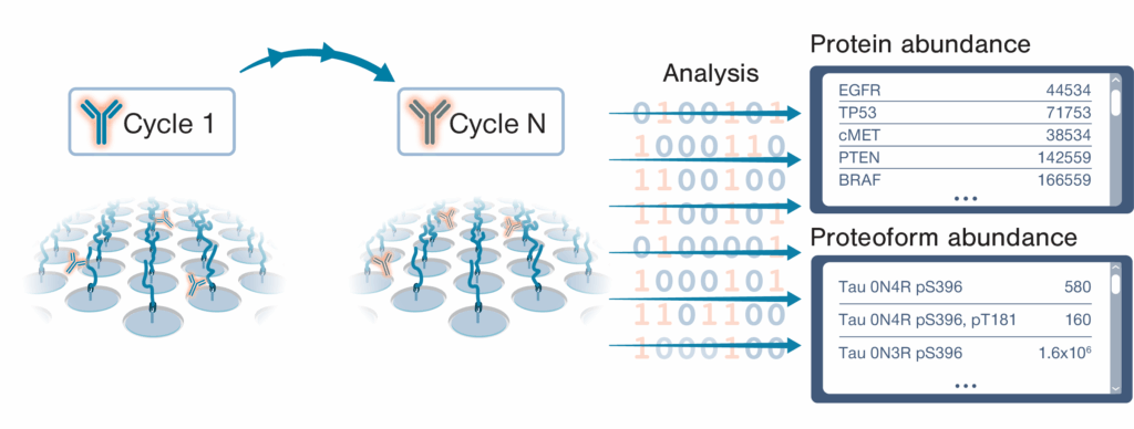 Iterative Mapping Small