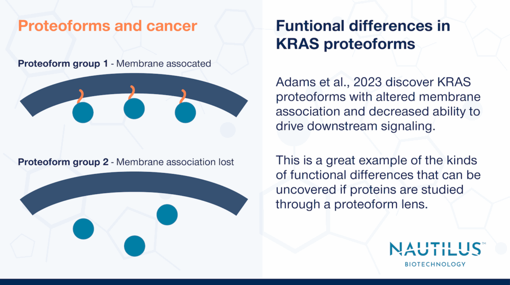 Graphic portraying groups of KRAS proteoforms at the cell membrane and a separate group of KRAS proteoforms in the cytoplasm