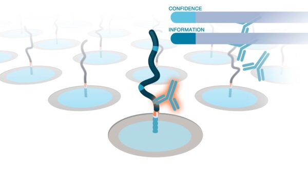 Protein attached to a nanoparticle on a massive protein array. The protein is bound by a probe that provides information about its identity.