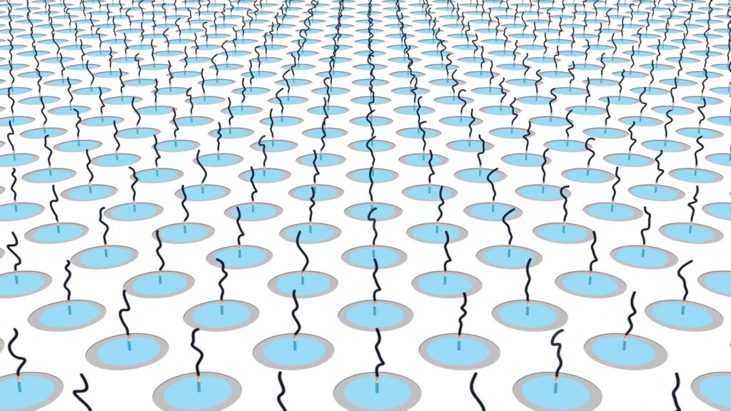 Blue proteins on light blue scaffolds in an ordered array