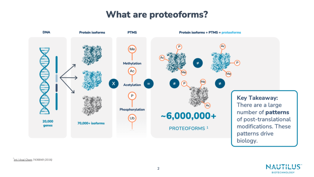 Graphic portraying a single gene being transcribed and translated into multiple protein isoforms that can then combinatorially modified with post-translational modifications to generate many proteoforms with different patterns of modification.